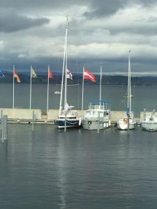 Le Mojito 888 STERGANN &agrave; Landschlacht