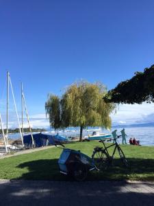 Le Mojito 888 STERGANN &agrave; Landschlacht