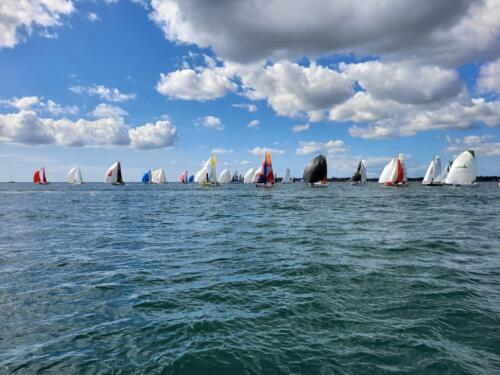 20240912_140934 (Grand)