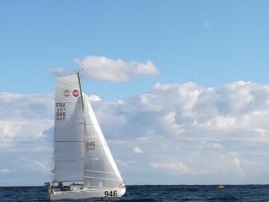 Maxi 650 02 - 946  "Mini Skippy" 