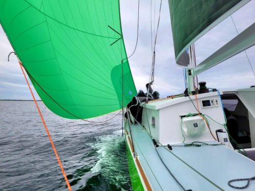 492244278_1332609617931641_5633185462486479420_n (Petit)