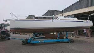 Mojito 888 "Bois le vent"