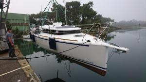 Mojito 888 "Bois le vent"