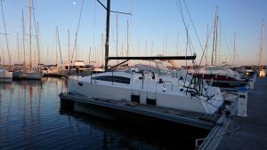 Le Malango 1088 X-wing