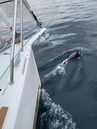 Le Mojito 888 Aber Road - convoyage Concarneau vers La Rochelle 17/09/2023