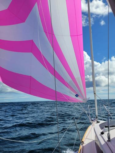 Le Mojito 888 Aber Road - convoyage Concarneau vers La Rochelle 17/09/2023