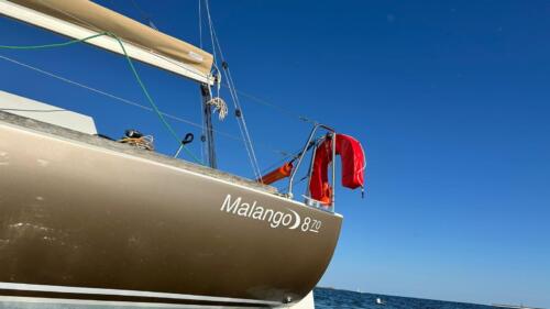 IMG-20240614-WA0009