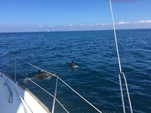 Convoyage vers Dunkerque