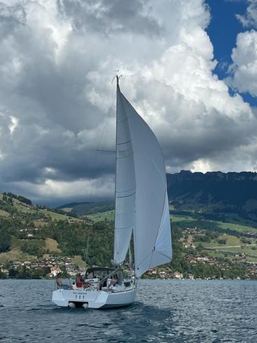 le Mojito 888 becassine