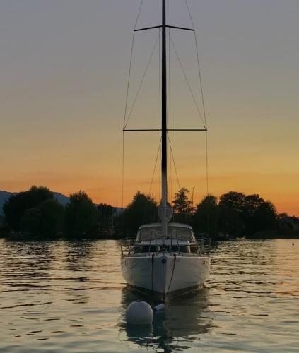 le Mojito 888 becassine