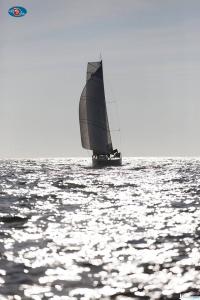 maxi12
